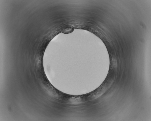 X0000110970271200907310935