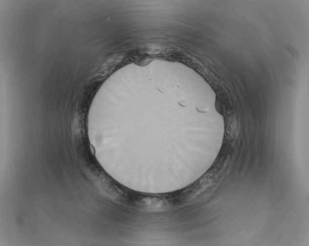 X0000110970272200907310935