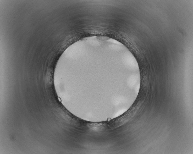 X0000110970273200907310935