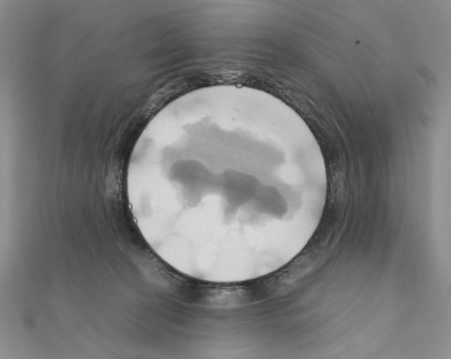 X0000110970274200907310935
