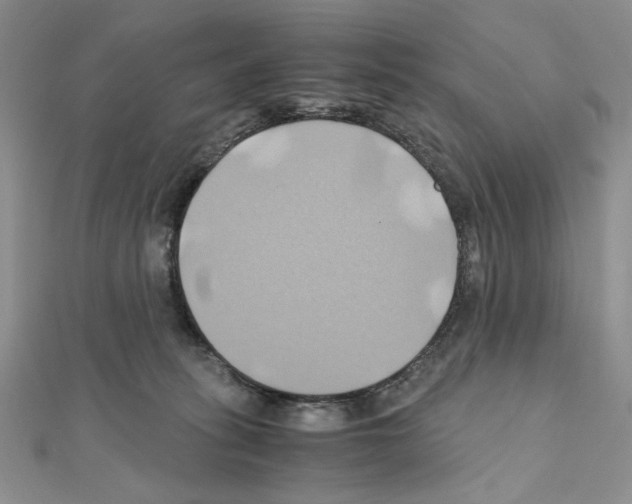X0000110970275200907310935