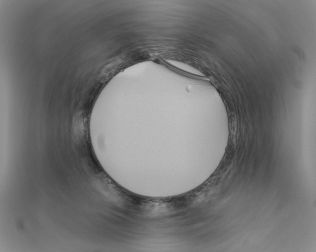 X0000110970276200907310935