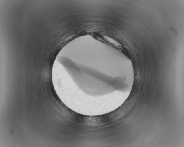 X0000110970277200907310935