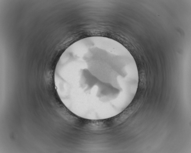 X0000110970278200907310935