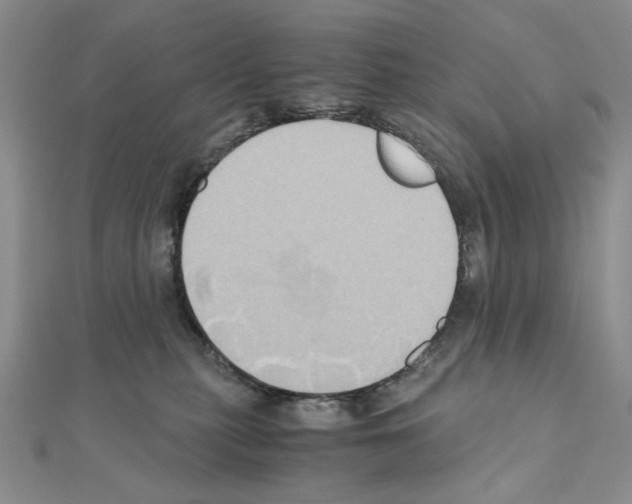X0000110970279200907310935