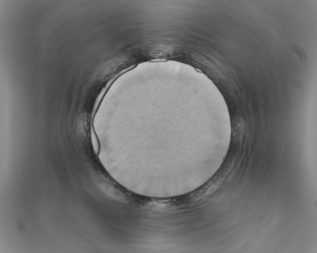 X0000110970280200907310935