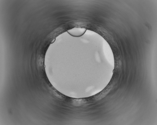 X0000110970281200907310935