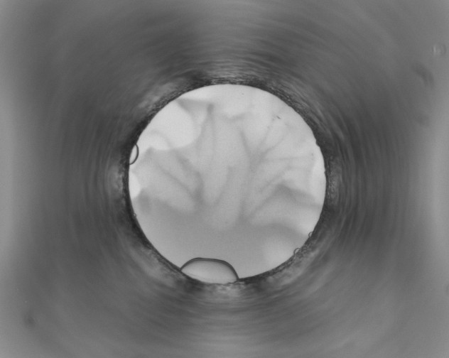 X0000110970282200907310935