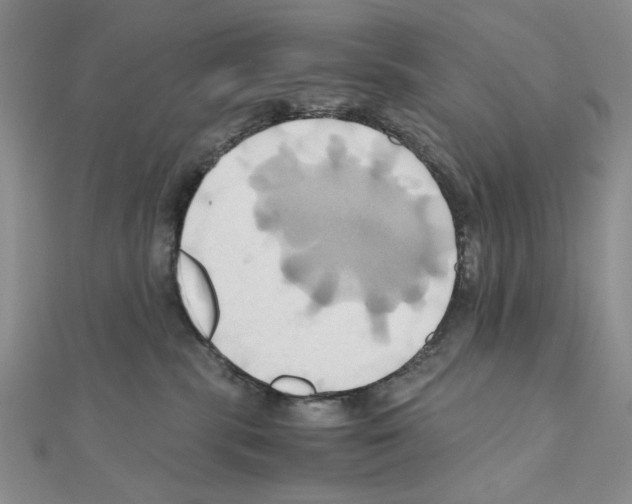X0000110970283200907310935