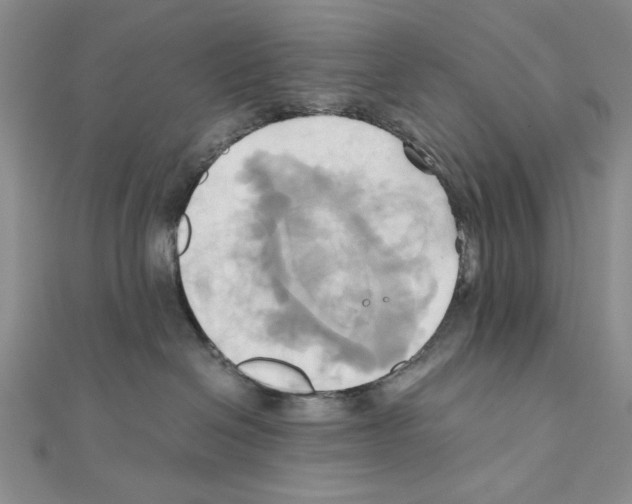 X0000110970286200907310936