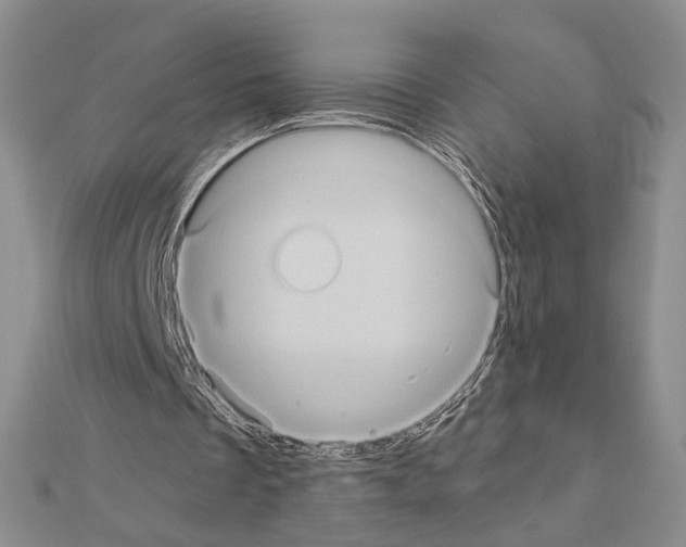 X0000110970289200907310935