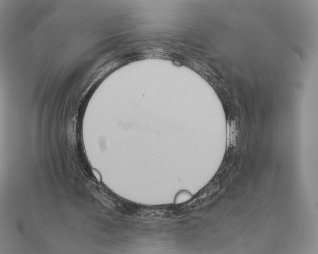 X0000110970291200907310935