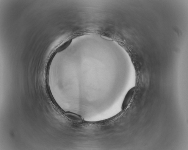 X0000110970293200907310935