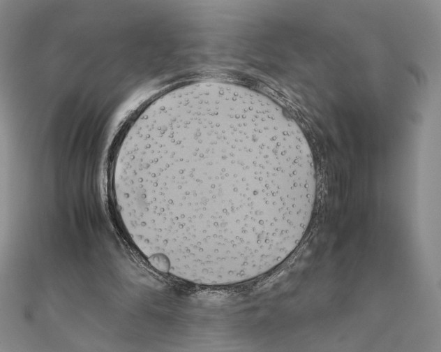 X0000110970294200907310935