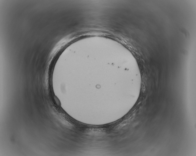 X0000110970296200907310935