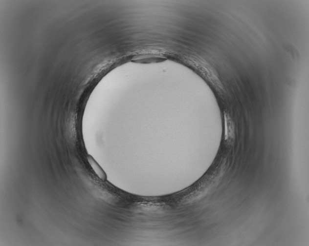 X0000110970300200907310935