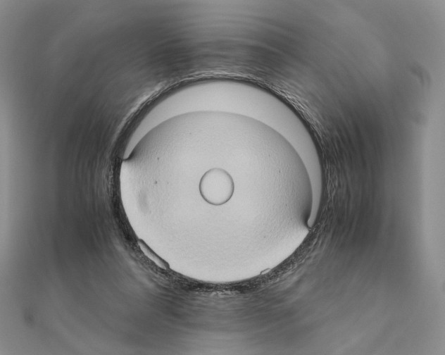 X0000110970304200907310935