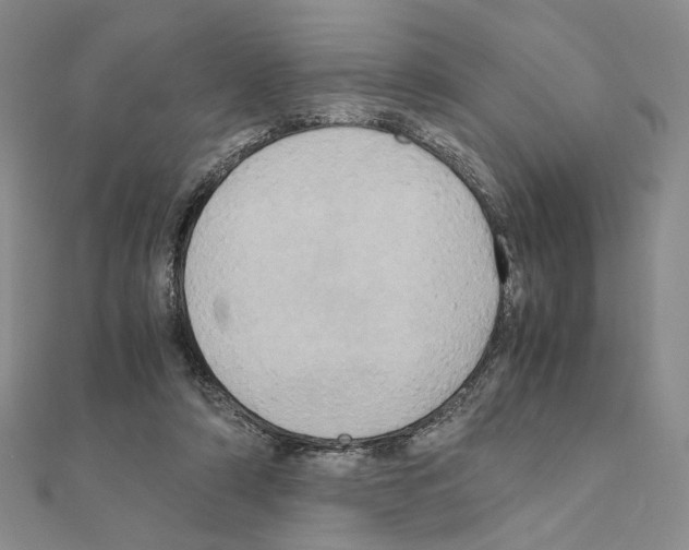 X0000110970306200907310935