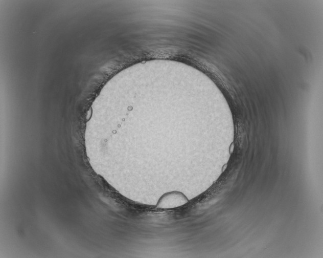 X0000110970307200907310935