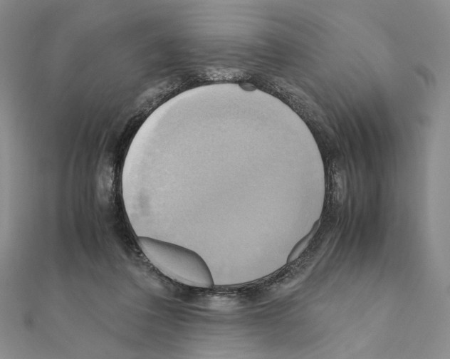 X0000110970308200907310935