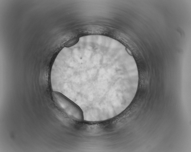 X0000110970309200907310934