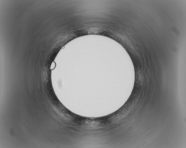 X0000110970311200907310934