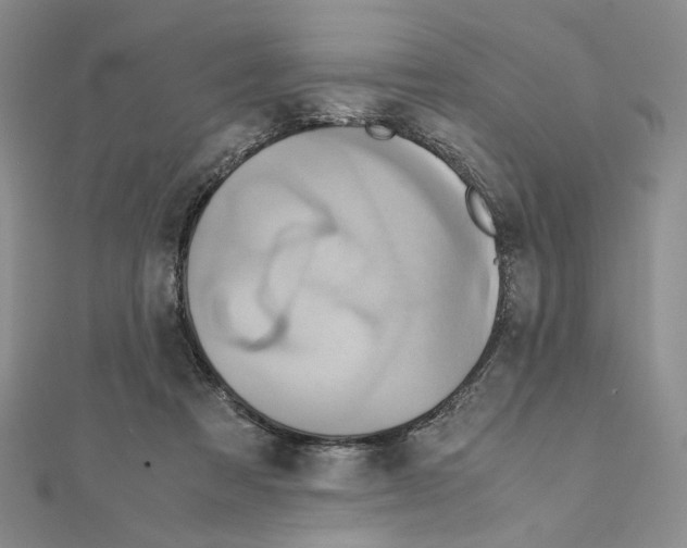 X0000110970313200907310934
