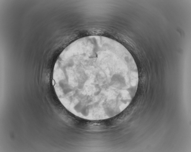 X0000110970315200907310934