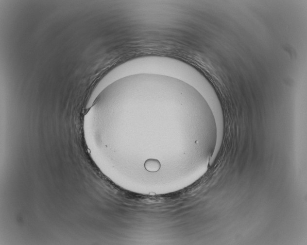 X0000110970317200907310934