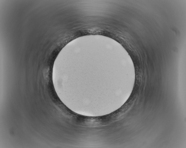 X0000110970319200907310934