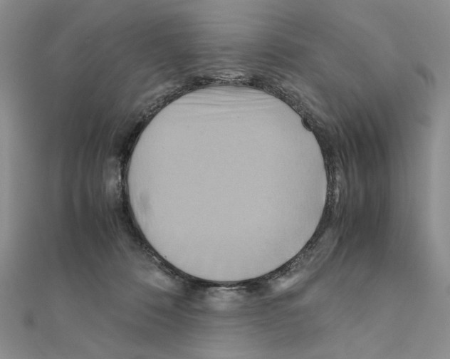 X0000110970320200907310934