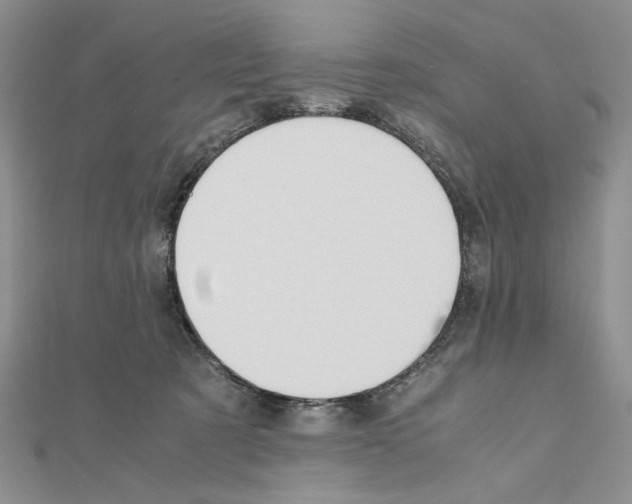 X0000110970321200907310934