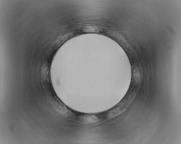 X0000110970322200907310934