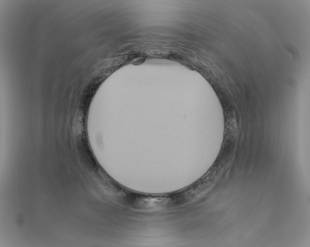 X0000110970323200907310934