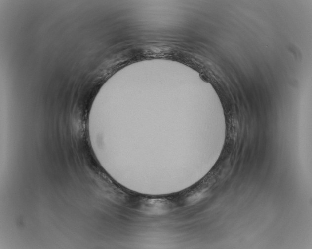 X0000110970324200907310934