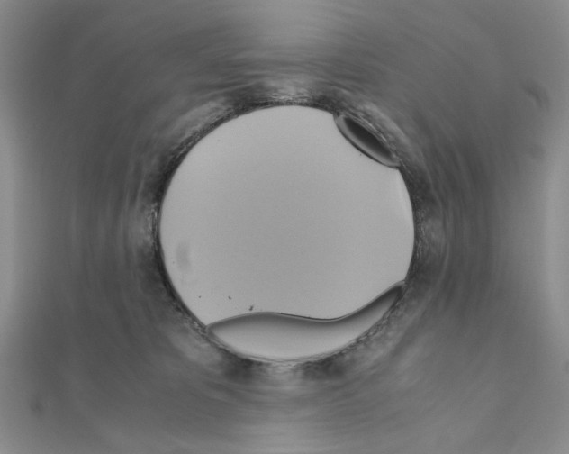 X0000110970325200907310934