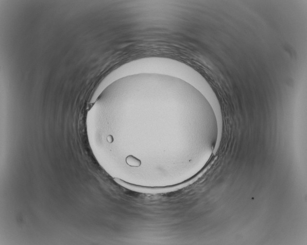 X0000110970327200907310934