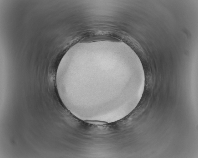X0000110970329200907310934