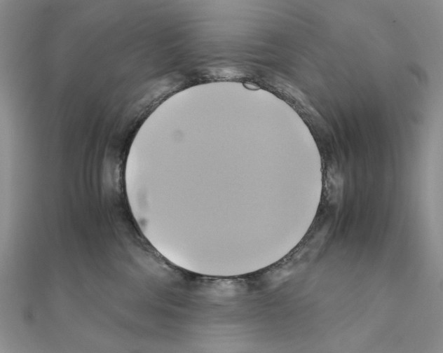 X0000110970330200907310934