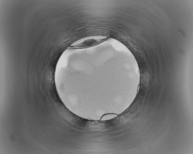X0000110970331200907310934