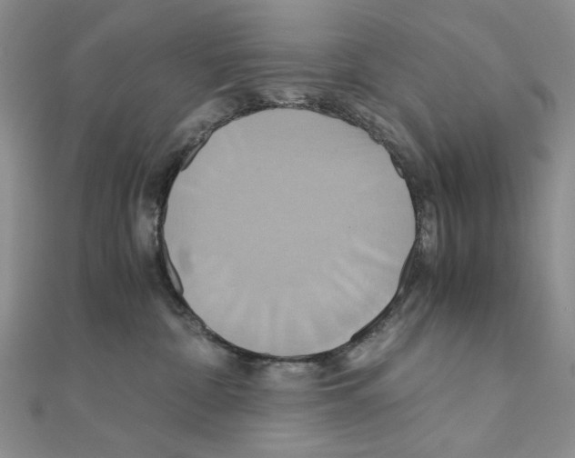 X0000110970332200907310934