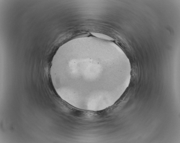 X0000110970333200907310934