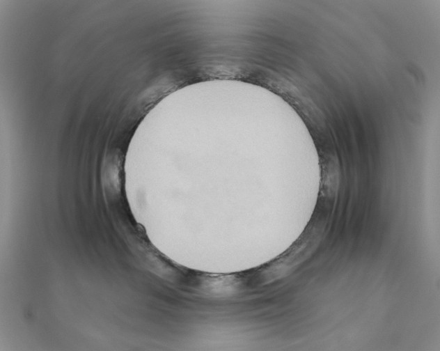X0000110970334200907310934