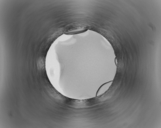 X0000110970335200907310934