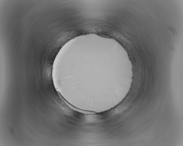X0000110970336200907310934
