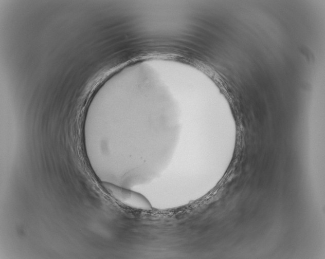 X0000110970337200907310934