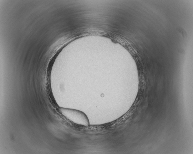 X0000110970338200907310934