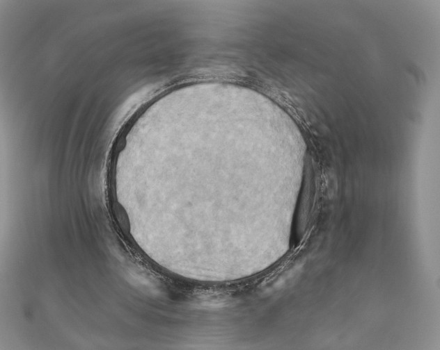 X0000110970340200907310934