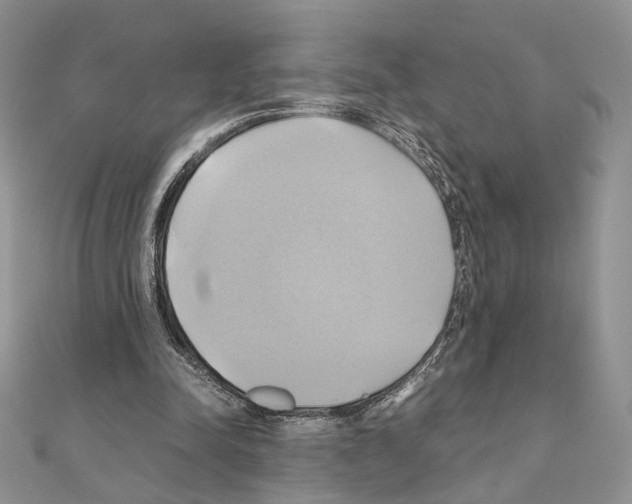 X0000110970342200907310934