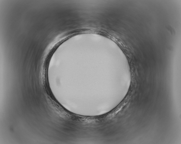 X0000110970343200907310934